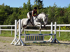 USA-Vermont-Vermont Equestrian Clinic